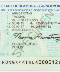 Irish Learners Permit